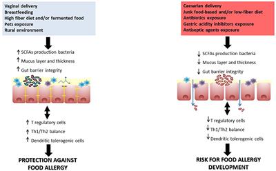 The potential role of preventive and therapeutic immunonutrition strategies for pediatric food allergy: A mini-review